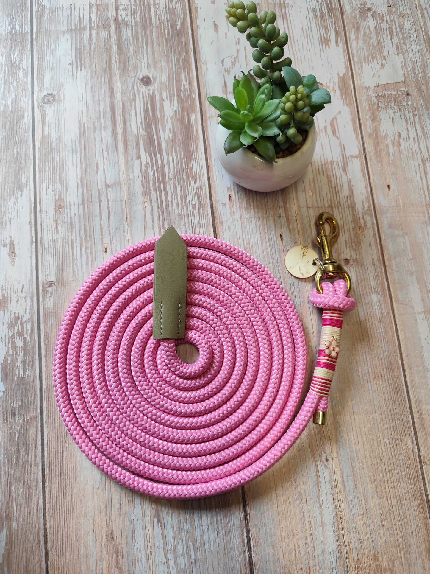 Bodenarbeitsseil "pink love"